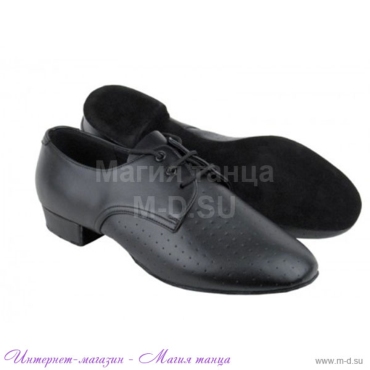Мужская обувь для танцев стандарт - 148